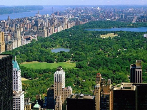 Gröna Central Park i New York, USA.